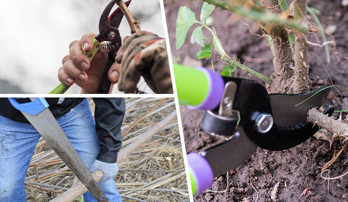 collage of a person using pruning tool and hand saw.